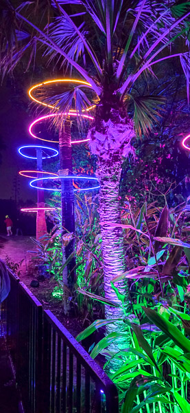 San Diego Botanic Garden - Lightscape 2025